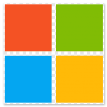 Partner MS